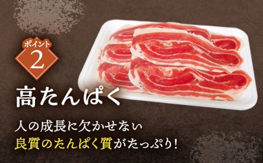 【6回定期便】ジビエ 天然イノシシ肉 バラエティ総量6.0kg【照本食肉加工所】 [OAJ075] / 肉 猪 猪肉 イノシシ イノシシ肉 いのしし しし肉 しし鍋 ボタン鍋 ジビエ