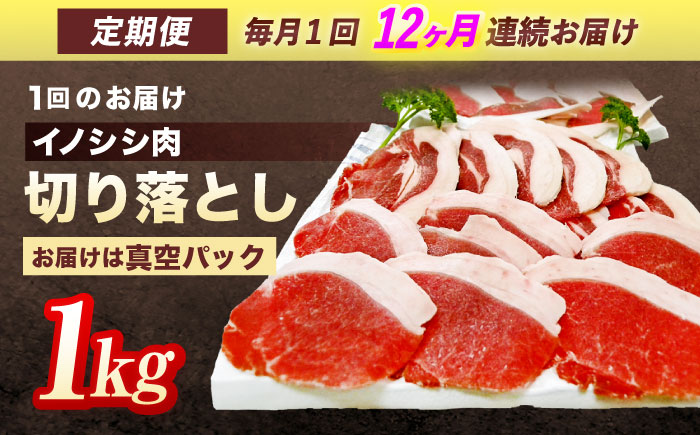 【12回定期便】ジビエ 天然イノシシ肉 切り落とし1kg（ぼたん鍋・煮込料理・野菜炒め用等）【照本食肉加工所】 [OAJ021] / 肉 猪 猪肉 イノシシ イノシシ肉 いのしし しし肉 しし鍋 ボタン鍋 ジビエ