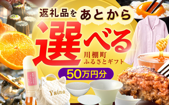 【あとから選べる】川棚町ふるさとギフト 50万円分　長崎県 川棚町 [OZZ023]