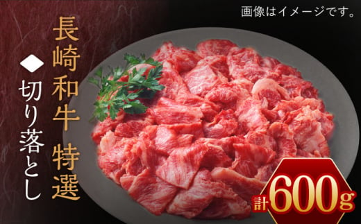 長崎和牛 特選 切り落とし 600g【川下精肉店】 [OAA016] / すき焼き用肉 焼肉 切り落とし 牛肉 長崎和牛 切り落とし 冷凍 国産牛 きりおとし 国産牛肉 きりおとしにく