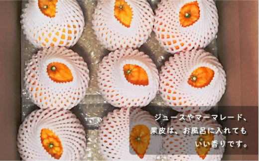 【数量限定】不知火 袋掛け 約3kg ミカン 柑橘 果物  フルーツ【おだ農園】 [OAG004]