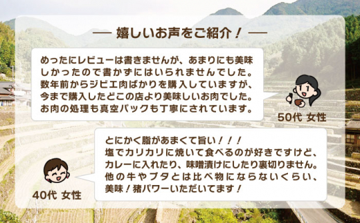 ジビエ 天然イノシシ肉 おまかせ焼肉セット 600g （ロース・モモ・バラ）【照本食肉加工所】[OAJ004] / 猪 猪肉 いのしし肉 イノシシ イノシシ肉 ジビエ いのしし 長崎県猪 川棚町産猪 ぼたん鍋用いのしし 九州産イノシシ じびえ ジビエ ジビエ肉 