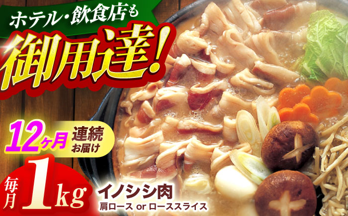 【12回定期便】ジビエ 天然イノシシ肉 肩ロース or ロース スライス1kg【照本食肉加工所】 [OAJ060] / 肉 猪 猪肉 イノシシ イノシシ肉 いのしし しし肉 しし鍋 ボタン鍋 ジビエ