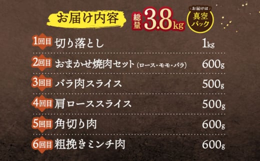 【6回定期便】ジビエ 天然イノシシ肉 バラエティ総量3.8kg【照本食肉加工所】 [OAJ073] / 肉 猪 猪肉 イノシシ イノシシ肉 いのしし しし肉 しし鍋 ボタン鍋 ジビエ