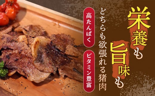 ジビエ 天然イノシシ肉 粗挽きミンチ肉 600g【照本食肉加工所】[OAJ016] / 猪 猪肉 いのしし肉 イノシシ イノシシ肉 ジビエ いのしし 長崎県猪 川棚町産猪 ぼたん鍋用いのしし 九州産イノシシ じびえ ジビエ ジビエ肉