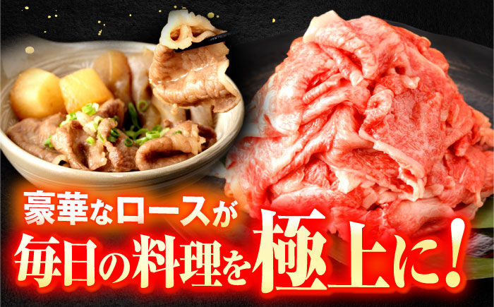 長崎和牛A5ランク ファミリーセット（ロース小間切れ800g＆特選ハンバーグ10個セット）【肉のあいかわ】 [OCH028]