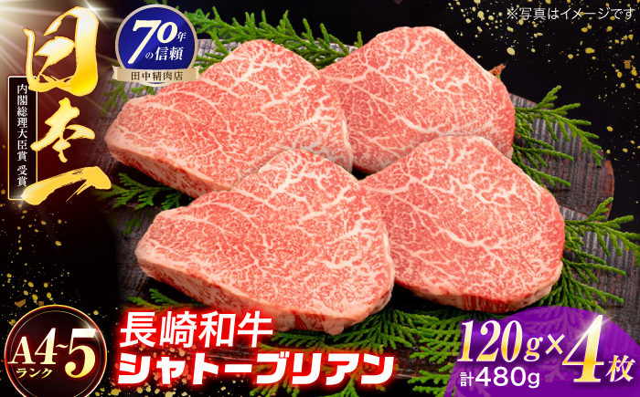 長崎和牛 シャトーブリアンステーキ 120g×4枚【株式会社田中精肉店】 [OCA089]