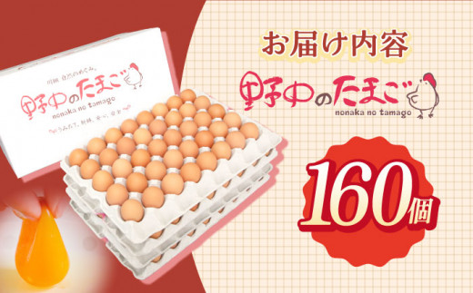 産みたて新鮮卵 野中のたまご  160個【野中鶏卵】[OAC003] / 卵 長持ち 濃厚 玉子 濃厚 卵料理 タマゴ 鶏卵 オムレツ 卵かけご飯 卵焼き 