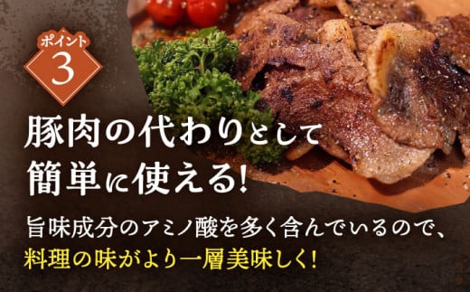 【6回定期便】ジビエ 天然イノシシ肉 バラエティ総量6.0kg【照本食肉加工所】 [OAJ075] / 肉 猪 猪肉 イノシシ イノシシ肉 いのしし しし肉 しし鍋 ボタン鍋 ジビエ