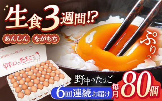 【6回定期便】産みたて新鮮卵 野中のたまご  80個×6回 計480個【野中鶏卵】[OAC008] / 卵 長持ち 濃厚 玉子 濃厚 卵料理 タマゴ 鶏卵 オムレツ 卵かけご飯 卵焼き 