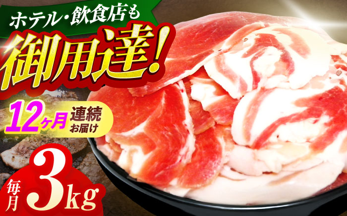 【12回定期便】ジビエ 天然イノシシ肉 切り落とし3kg（ぼたん鍋・煮込料理・野菜炒め用等）【照本食肉加工所】 [OAJ027] / 肉 猪 猪肉 イノシシ イノシシ肉 いのしし しし肉 しし鍋 ボタン鍋 ジビエ