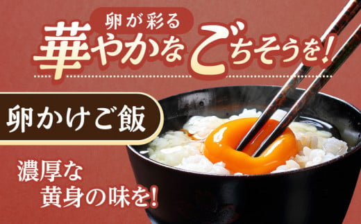 【6回定期便】産みたて新鮮卵 野中のたまご  40個×6回 計240個【野中鶏卵】 [OAC005] / たまご 卵 長持ち 濃厚 玉子 卵料理 タマゴ 鶏卵 オムレツ 卵かけご飯 卵焼き たまご 大容量 朝食 鶏卵 おかず 料理 消耗品 健康 栄養 平飼い