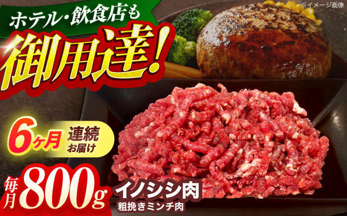 【6回定期便】ジビエ 天然イノシシ肉 粗挽きミンチ肉 800g【照本食肉加工所】 [OAJ068] / 肉 猪 猪肉 イノシシ イノシシ肉 いのしし しし肉 しし鍋 ボタン鍋 ジビエ