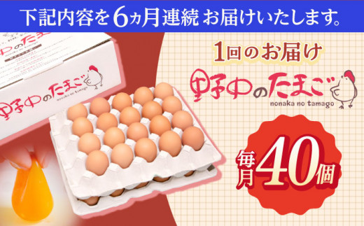 【6回定期便】産みたて新鮮卵 野中のたまご  40個×6回 計240個【野中鶏卵】 [OAC005] / たまご 卵 長持ち 濃厚 玉子 卵料理 タマゴ 鶏卵 オムレツ 卵かけご飯 卵焼き たまご 大容量 朝食 鶏卵 おかず 料理 消耗品 健康 栄養 平飼い