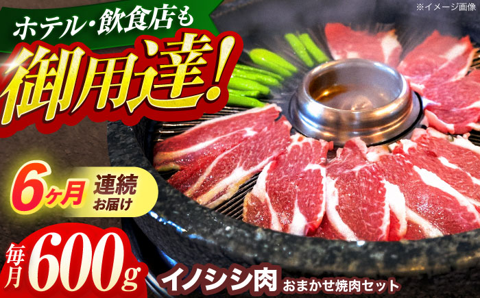 【6回定期便】ジビエ 天然イノシシ肉 おまかせ焼肉セット 600g （ロース・モモ・バラ）【照本食肉加工所】 [OAJ029] / 肉 猪 猪肉 イノシシ イノシシ肉 いのしし しし肉 しし鍋 ボタン鍋 ジビエ