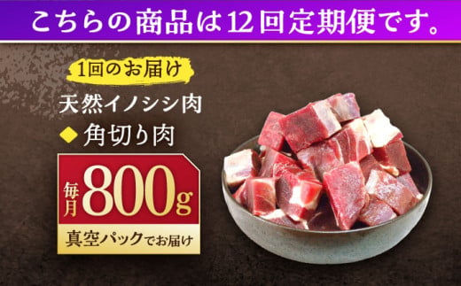 【12回定期便】ジビエ 天然イノシシ肉 角切り肉 800g（カレー・シチュー）【照本食肉加工所】[OAJ063] / 猪 猪肉 いのしし肉 イノシシ イノシシ肉 ジビエ いのしし 長崎県猪 川棚町産猪 ぼたん鍋用いのしし 九州産イノシシ じびえ ジビエ ジビエ肉