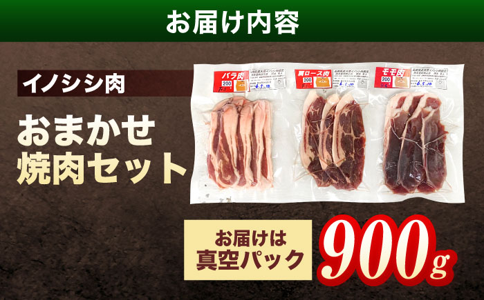 ジビエ 天然イノシシ肉 おまかせ焼肉セット 900g （ロース・モモ・バラ）【照本食肉加工所】 [OAJ005] / 肉 猪 猪肉 イノシシ イノシシ肉 いのしし しし肉 しし鍋 ボタン鍋 ジビエ