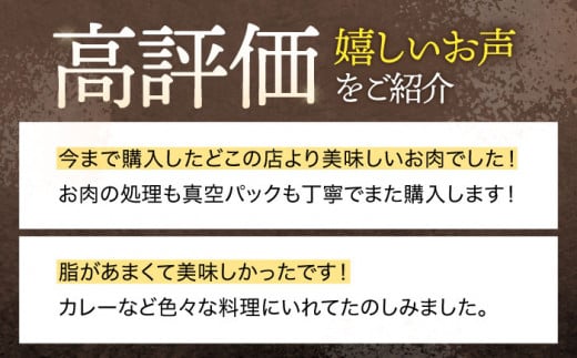 【6回定期便】ジビエ 天然イノシシ肉 バラエティ総量6.0kg【照本食肉加工所】 [OAJ075] / 肉 猪 猪肉 イノシシ イノシシ肉 いのしし しし肉 しし鍋 ボタン鍋 ジビエ