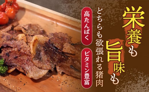 【3回定期便】ジビエ 天然イノシシ肉 人気部位 総量3.65kg【照本食肉加工所】 [OAJ076] / 肉 猪 猪肉 イノシシ イノシシ肉 いのしし しし肉 しし鍋 ボタン鍋 ジビエ