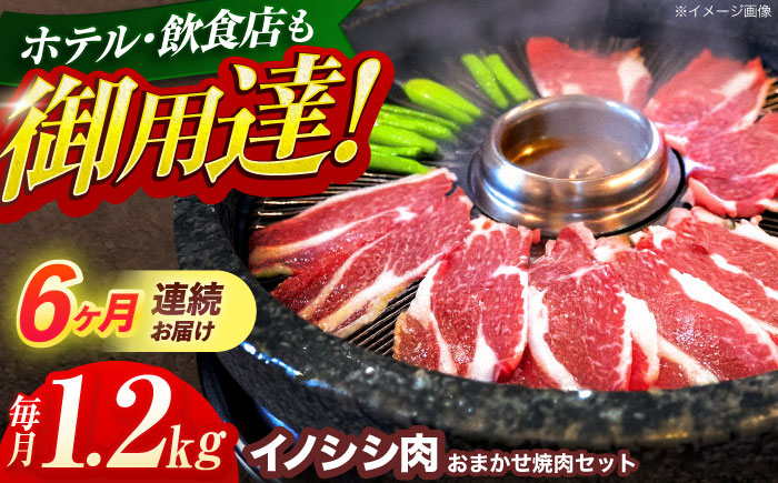 【6回定期便】ジビエ 天然イノシシ肉 おまかせ焼肉セット 1.2kg （ロース・モモ・バラ）【照本食肉加工所】 [OAJ035] / 肉 猪 猪肉 イノシシ イノシシ肉 いのしし しし肉 しし鍋 ボタン鍋 ジビエ