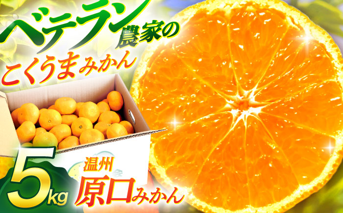 【数量限定】温州高糖度 原口みかん 約5kg ミカン 柑橘 果物  フルーツ【長崎ぶんたんの会】 [OAF004]