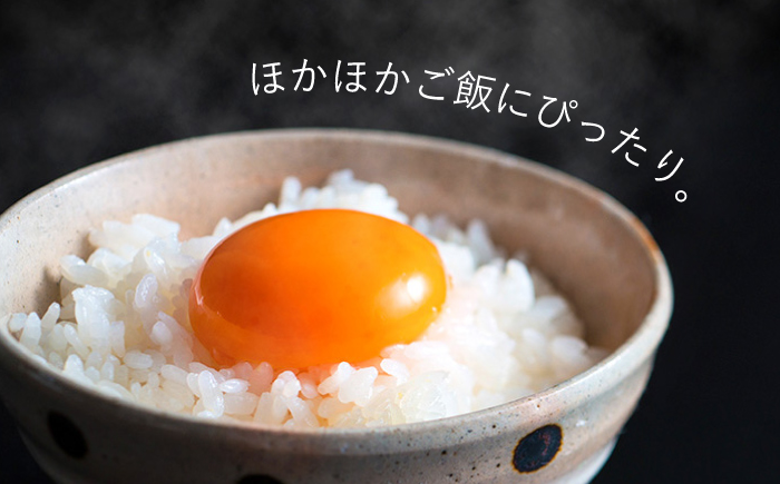 平飼い もみじ の 高級 たまご 40個 ※12月発送なし【野中鶏卵】 [OAC013]