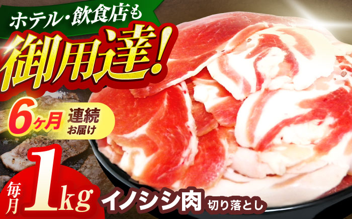 【6回定期便】ジビエ 天然イノシシ肉 切り落とし1kg（ぼたん鍋・煮込料理・野菜炒め用等）【照本食肉加工所】 [OAJ020] / 肉 猪 猪肉 イノシシ イノシシ肉 いのしし しし肉 しし鍋 ボタン鍋 ジビエ