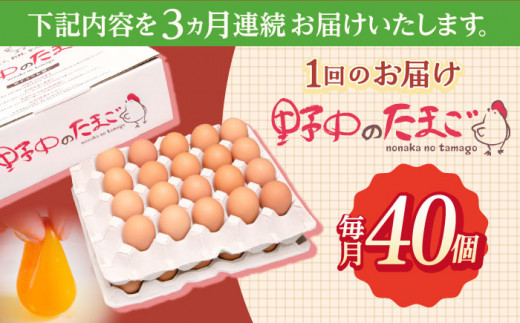 【3回定期便】産みたて新鮮卵 野中のたまご  40個×3回 計120個【野中鶏卵】[OAC004] / 卵 長持ち 濃厚 玉子 濃厚 卵料理 タマゴ 鶏卵 オムレツ 卵かけご飯 卵焼き 