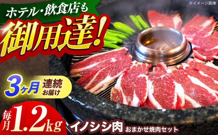 【3回定期便】ジビエ 天然イノシシ肉 おまかせ焼肉セット 1.2kg （ロース・モモ・バラ）【照本食肉加工所】 [OAJ034] / 肉 猪 猪肉 イノシシ イノシシ肉 いのしし しし肉 しし鍋 ボタン鍋 ジビエ