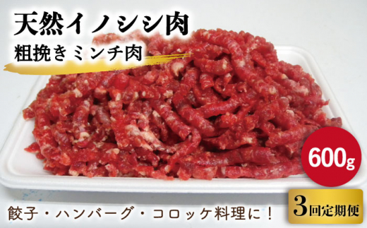 【3回定期便】ジビエ 天然イノシシ肉 粗挽きミンチ肉 600g【照本食肉加工所】 [OAJ040]