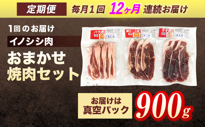 【12回定期便】ジビエ 天然イノシシ肉 おまかせ焼肉セット 900g （ロース・モモ・バラ）【照本食肉加工所】 [OAJ033] / 肉 猪 猪肉 イノシシ イノシシ肉 いのしし しし肉 しし鍋 ボタン鍋 ジビエ