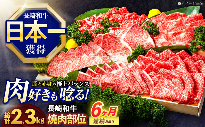 【6回定期便】長崎和牛 焼肉用部位×6回定期便【株式会社 黒牛】 [OCE110]