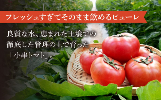 【6回定期便】小串トマト 濃厚150% ピューレ「OGUSHI」160g×10本セット【草加家】 [OBH003]