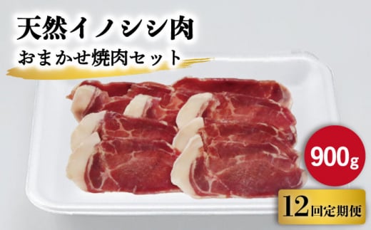 【12回定期便】ジビエ 天然イノシシ肉 おまかせ焼肉セット 900g （ロース・モモ・バラ）【照本食肉加工所】[OAJ033] / 猪 猪肉 いのしし肉 イノシシ イノシシ肉 ジビエ いのしし 長崎県猪 川棚町産猪 ぼたん鍋用いのしし 九州産イノシシ じびえ ジビエ ジビエ肉