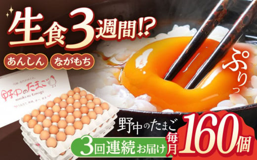 【3回定期便】産みたて新鮮卵 野中のたまご  160個×3回 計480個【野中鶏卵】[OAC010] / 卵 長持ち 濃厚 玉子 濃厚 卵料理 タマゴ 鶏卵 オムレツ 卵かけご飯 卵焼き 