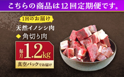 【12回定期便】ジビエ 天然イノシシ肉 角切り肉 1.2kg（カレー・シチュー）【照本食肉加工所】 [OAJ066]
