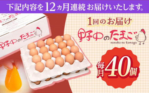 【12回定期便】産みたて新鮮卵 野中のたまご  40個×12回 計480個【野中鶏卵】[OAC006] / 卵 長持ち 濃厚 玉子 濃厚 卵料理 タマゴ 鶏卵 オムレツ 卵かけご飯 卵焼き 