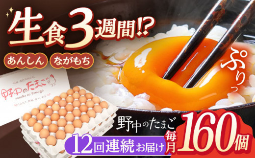 【12回定期便】産みたて新鮮卵 野中のたまご  160個×12回 計1920個【野中鶏卵】[OAC012] / 卵 長持ち 濃厚 玉子 濃厚 卵料理 タマゴ 鶏卵 オムレツ 卵かけご飯 卵焼き 