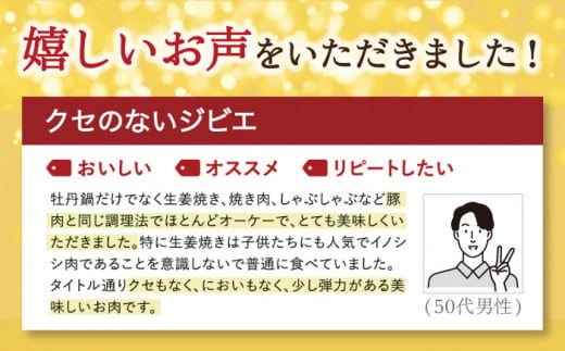 【6回定期便】ジビエ 天然イノシシ肉 切り落とし1kg（ぼたん鍋・煮込料理・野菜炒め用等）【照本食肉加工所】[OAJ020] / 猪 猪肉 いのしし肉 イノシシ イノシシ肉 ジビエ いのしし 長崎県猪 川棚町産猪 ぼたん鍋用いのしし 九州産イノシシ じびえ ジビエ ジビエ肉