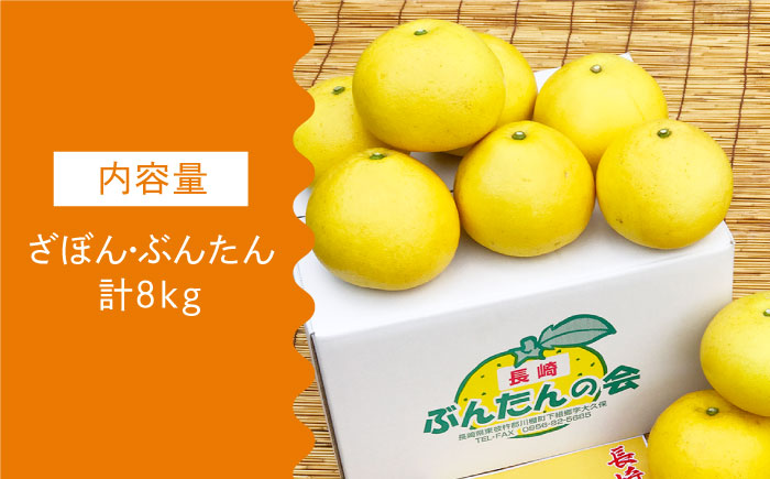 【数量限定】長崎ざぼん&ぶんたん セット 約8kg【長崎ぶんたんの会 】[OAF008] / ミカン 柑橘 果物  フルーツ かんきつ ザボン ブンタン 朱欒 文旦 食べ比べ 柑橘類 セット 詰め合わせ みかん 蜜柑