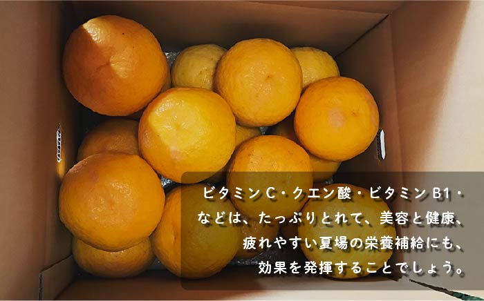 【先行受付】 数量限定 甘夏みかん 有機肥料栽培 約8kg【おだ農園】[OAG001] / 完熟 ミカン 柑橘 果物  フルーツ みかん 柑橘類 あまなつ 有機栽培 アマナツ