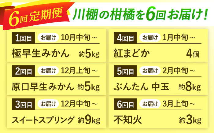 【6回定期便】川棚の柑橘大集合しとらすよ！（極早生みかん・原口早生みかん・スイートスプリング・紅まどか・ぶんたん・不知火） [OZZ016]