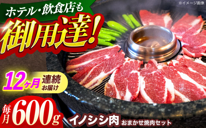 【12回定期便】ジビエ 天然イノシシ肉 おまかせ焼肉セット 600g （ロース・モモ・バラ）【照本食肉加工所】 [OAJ030] / 肉 猪 猪肉 イノシシ イノシシ肉 いのしし しし肉 しし鍋 ボタン鍋 ジビエ