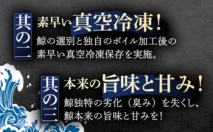 【3回定期便】調理用部位定期便（煮しめ鯨・炙り用脂筋肉スライス・特上ゆかけ鯨（畝）） [OBR018]