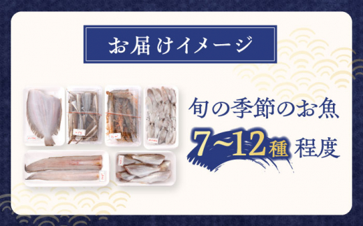 【先行予約】下処理済！冷蔵配送！長崎県産旬の 鮮魚 贅沢 詰合せ (7種～12種) ※7～11月配送 / 冷蔵配送 詰合わせ 新鮮 朝獲れ魚介 産地直送海鮮 魚詰合わせ 数量限定魚介 海老 えび 新鮮海老 海鮮詰合わせ 海鮮セット 旬のお魚 白身魚 海鮮 ぎょかい 旬の鮮魚 エビ 海鮮 長崎県海鮮 長崎県産海鮮 【森水産】 [OAI003]