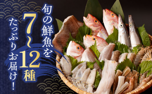 【先行予約】下処理済！冷蔵配送！長崎県産旬の 鮮魚 贅沢 詰合せ (7種～12種) ※7～11月配送 / 冷蔵配送 詰合わせ 新鮮 朝獲れ魚介 産地直送海鮮 魚詰合わせ 数量限定魚介 海老 えび 新鮮海老 海鮮詰合わせ 海鮮セット 旬のお魚 白身魚 海鮮 ぎょかい 旬の鮮魚 エビ 海鮮 長崎県海鮮 長崎県産海鮮 【森水産】 [OAI003]