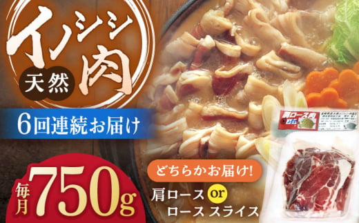 【6回定期便】ジビエ 天然イノシシ肉 肩ロース or ロース スライス750g【照本食肉加工所】[OAJ056] / 猪 猪肉 いのしし肉 イノシシ イノシシ肉 ジビエ いのしし 長崎県猪 川棚町産猪 ぼたん鍋用いのしし 九州産イノシシ じびえ ジビエ ジビエ肉