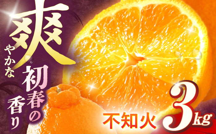 【数量限定】不知火 袋掛け 約3kg ミカン 柑橘 果物  フルーツ【おだ農園】 [OAG004]
