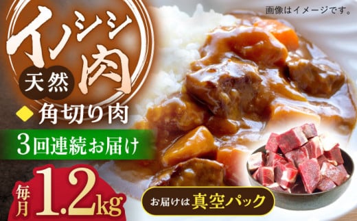 【3回定期便】ジビエ 天然イノシシ肉 角切り肉 1.2kg（カレー・シチュー）【照本食肉加工所】[OAJ064] / 猪 猪肉 いのしし肉 イノシシ イノシシ肉 ジビエ いのしし 長崎県猪 川棚町産猪 ぼたん鍋用いのしし 九州産イノシシ じびえ ジビエ ジビエ肉