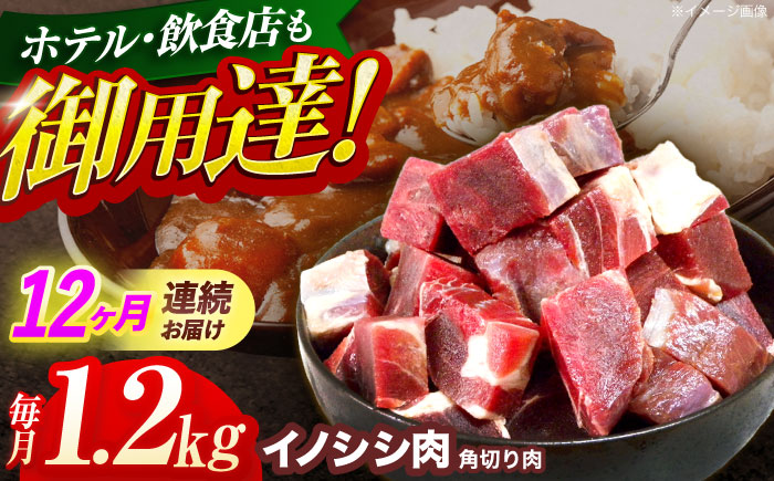 【12回定期便】ジビエ 天然イノシシ肉 角切り肉 1.2kg（カレー・シチュー）【照本食肉加工所】 [OAJ066] / 肉 猪 猪肉 イノシシ イノシシ肉 いのしし しし肉 しし鍋 ボタン鍋 ジビエ